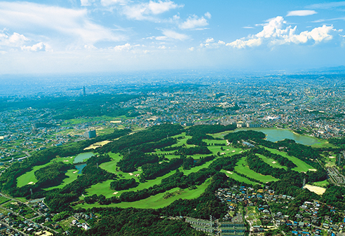 コース全景